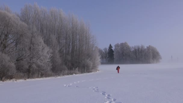 Fotograaf fotograferen op zonnige winterdag op platteland — Stockvideo