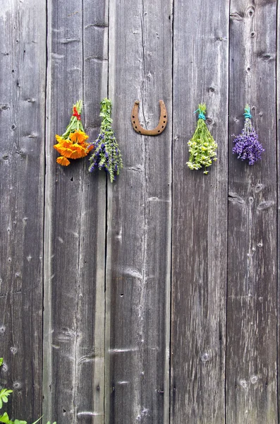 Bundles of fresh herbs and a horseshoe — Stock Photo, Image