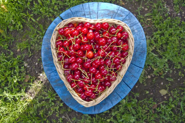 Cerezas maduras en canasta de mimbre en el patio — Foto de Stock