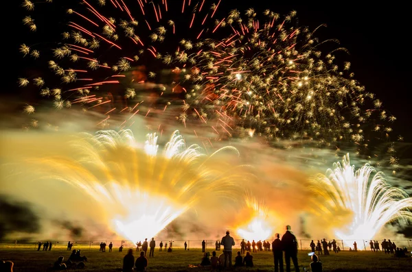 カラフルな花火は夜の空の上 — ストック写真