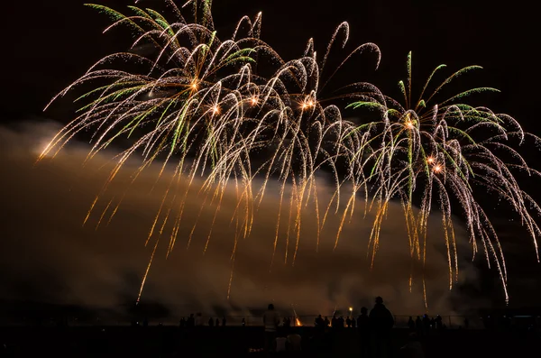 Feux d'artifice colorés sur le ciel nocturne — Photo