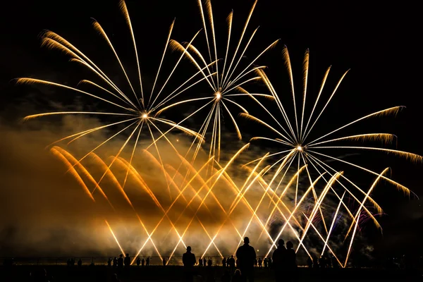 Buntes Feuerwerk über dem Nachthimmel — Stockfoto