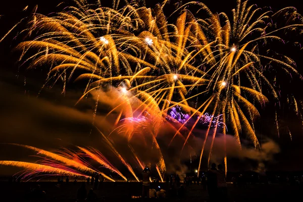 Fuegos artificiales de colores sobre el cielo nocturno — Foto de Stock