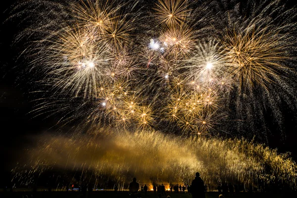 Buntes Feuerwerk über dem Nachthimmel — Stockfoto