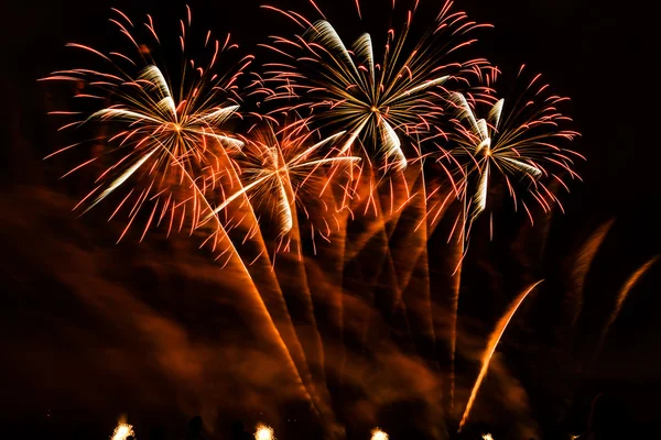 Fuegos artificiales de colores sobre el cielo nocturno — Foto de Stock