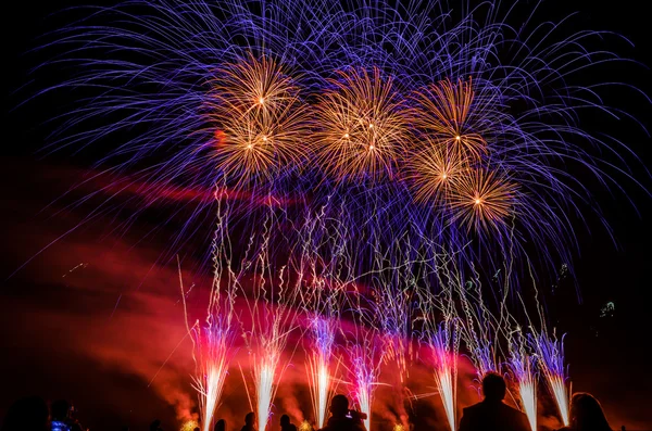 Feux d'artifice colorés sur le ciel nocturne — Photo