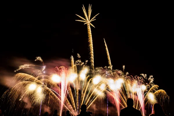 Buntes Feuerwerk über dem Nachthimmel — Stockfoto