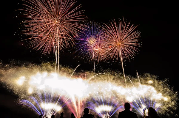 Feux d'artifice colorés sur le ciel nocturne — Photo