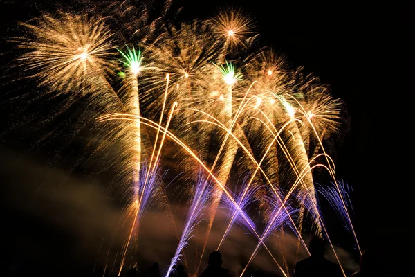 Fuegos artificiales de colores sobre el cielo nocturno — Foto de Stock