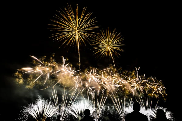 Buntes Feuerwerk über dem Nachthimmel — Stockfoto