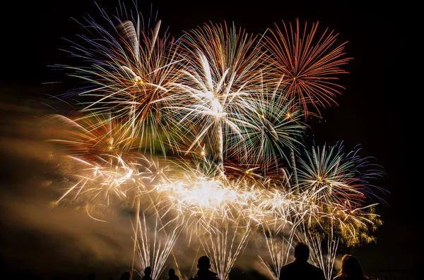 Fuegos artificiales de colores sobre el cielo nocturno — Foto de Stock