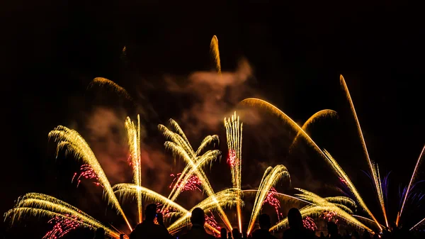 Colorful fireworks over night sky — Stock Photo, Image