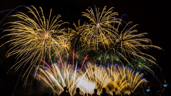 Fuegos artificiales de colores sobre el cielo nocturno — Foto de Stock