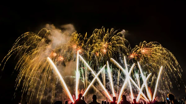 Buntes Feuerwerk über dem Nachthimmel — Stockfoto