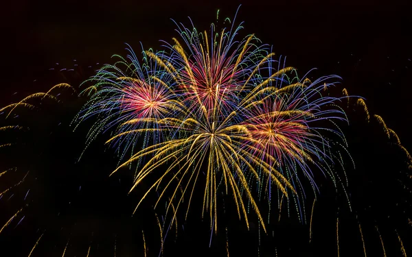 Colorful fireworks over night sky — Stock Photo, Image