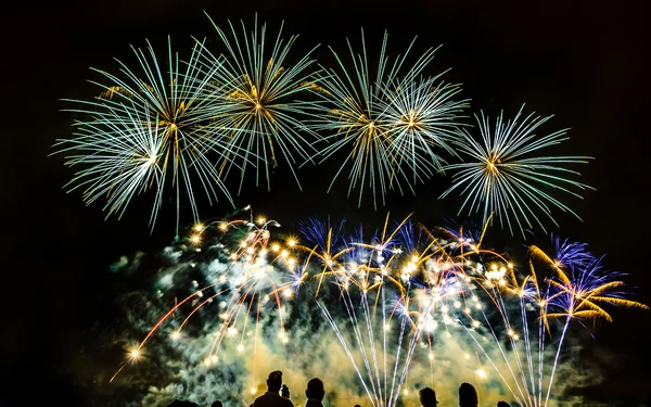 Fuegos artificiales de colores sobre el cielo nocturno — Foto de Stock