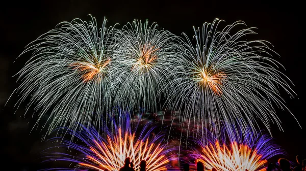 Buntes Feuerwerk über dem Nachthimmel — Stockfoto