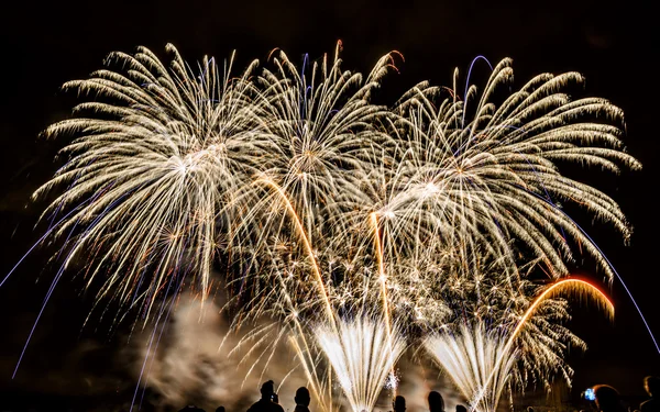 Feux d'artifice colorés sur le ciel nocturne — Photo