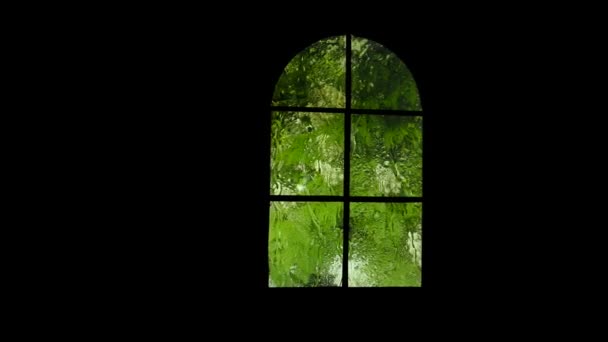 Yağmurda Pencereden Doğanın Görüntüsü Camdaki Damlalarla Yağmurlu Havada Açan Kestane — Stok video