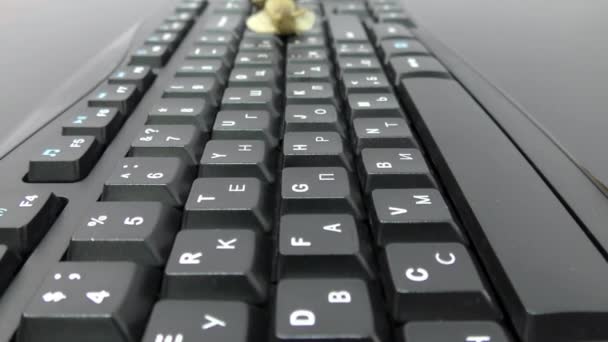 Равлик Клавіатурі Швидкість Інтернету Ніша Клавіатурі Символізує Повільну Передачу Даних — стокове відео