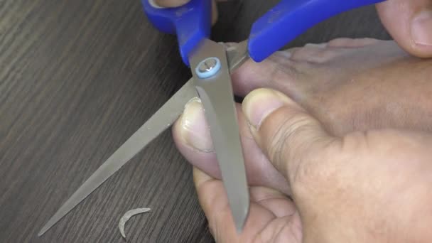 Використовуйте Ножиці Різання Дорослих Нігтів Догляд Нігтями Домашній Манікюр — стокове відео