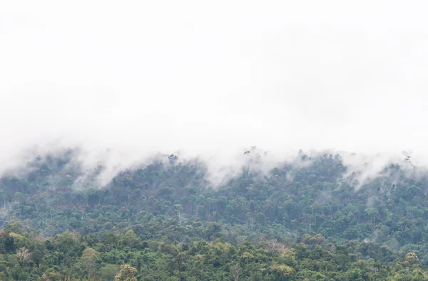 Niebla blanca cascada —  Fotos de Stock