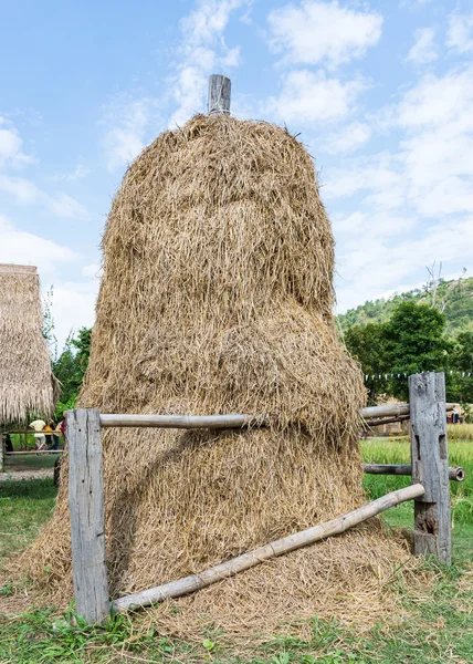 Golden straw stack — Stock Photo, Image