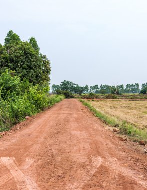 Küçük toprak yol 