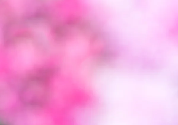 Pembe ve beyaz ses tonuyla bulanıklık etkisi