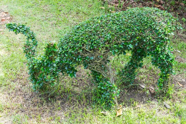 The bending wire model of the deer shape — Stock Photo, Image