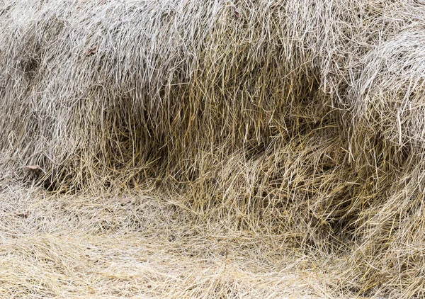 Крупный план сухого стога сена — стоковое фото
