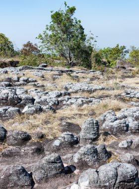 Kumtaşı düğümü alanına 