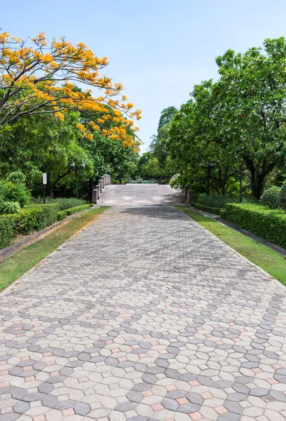 Empty brick pathway — Stock Photo, Image