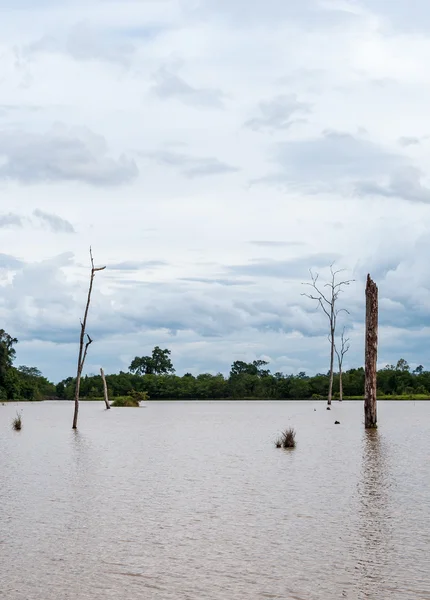 Tranquilo lago del pequeño embalse . — Foto de Stock