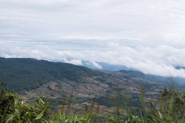 Tayland 'ın kuzeydoğusunda, sabahın erken saatlerinde bulutlarla kaplanmış olan ulusal parkın yüksek dağı yakınlarındaki çiftçi tarlasında..