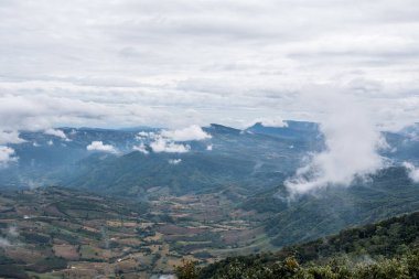 Tepedeki tarlada, yüksek sıradağların orada. 