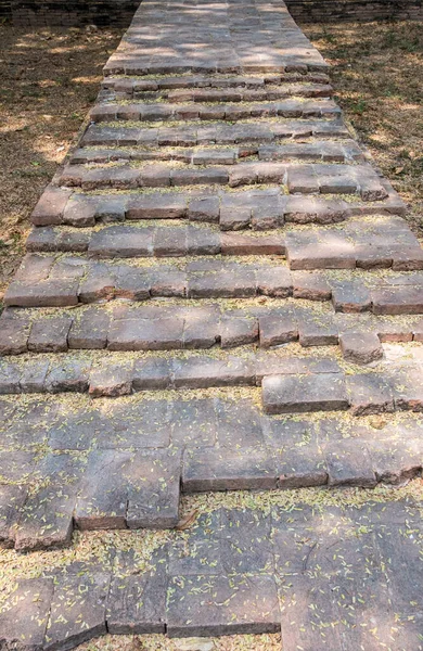 Древний Каменный Путь Вдоль Поля Храму — стоковое фото