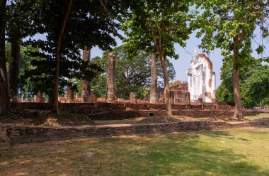 Eski beyaz Buda heykeli, büyük bir ağaçla çevrili eski Tayland tapınağının kilise kalıntılarında duruyor. (Kamu alanı gereksizdir Özellik Salımı), kopyalama alanı ile kenar görünüm.