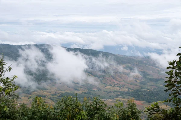 Campo Piantagione Del Contadino Locale Piedi Vicino Alla Catena Montuosa — Foto Stock