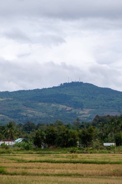 Hasat zamanından sonra çeltik tarlası Tayland 'ın kuzeydoğusundaki yüksek sıradağların vadisindeki çiftçi köyünün yakınında yer alıyor..