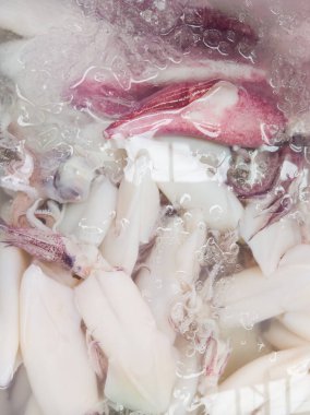 Plastik tepside bulunan muhteşem mürekkep balığının yakın plan fotoğrafı, arka plan manzarası için Tayland 'ın doğu kıyısındaki balıkçı köyü yakınlarındaki yerel markette satılık buzla birlikte..