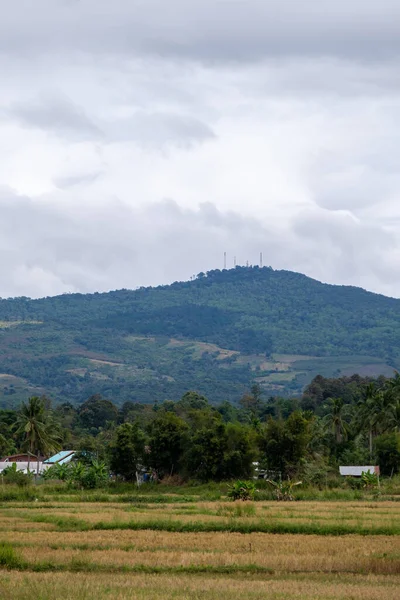Hasat zamanından sonra çeltik tarlası Tayland 'ın kuzeydoğusundaki yüksek sıradağların vadisindeki çiftçi köyünün yakınında yer alıyor..