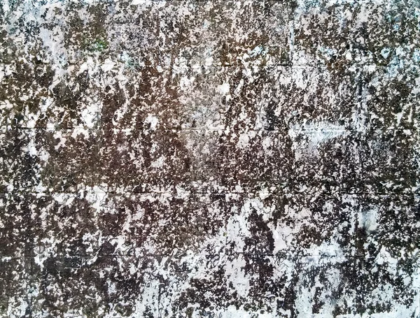 Liken ile eski duvar — Stok fotoğraf