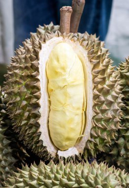 taze durian