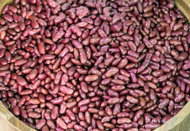 Taze kırmızı fasulye