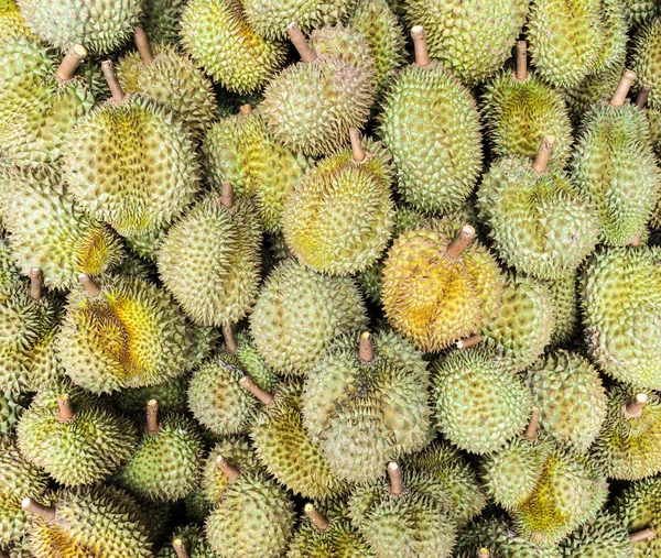 Rijp durian — Stockfoto