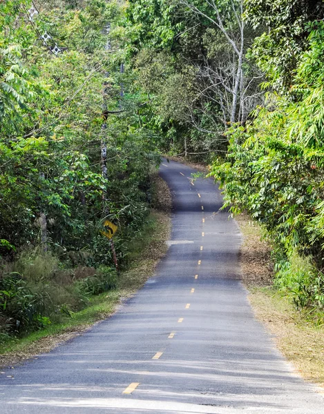 Descente de la route — Photo