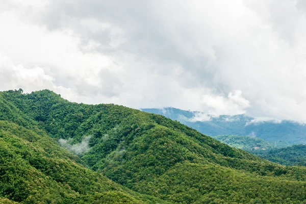 Montanha de teca — Fotografia de Stock