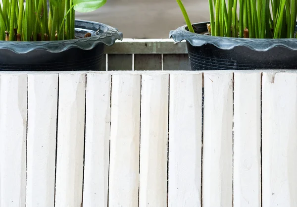 Bílý dřevěný plot — Stock fotografie