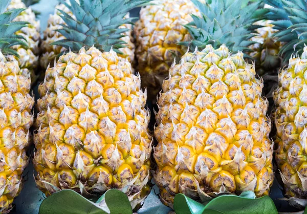 Taze ananas — Stok fotoğraf